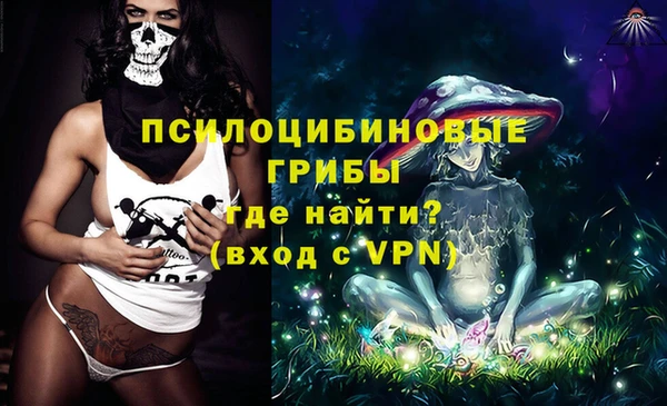 хмурый Аркадак