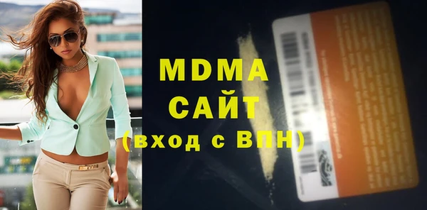 хмурый Аркадак