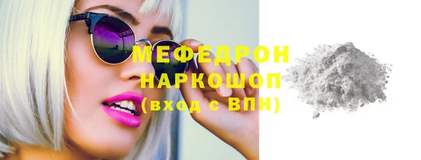 хмурый Аркадак