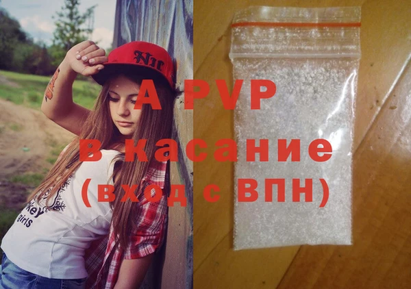 хмурый Аркадак