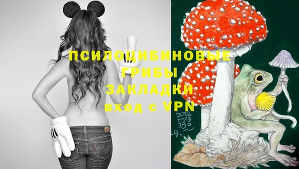 не бодяженный Медногорск
