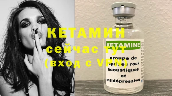 хмурый Аркадак